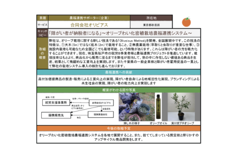 投票一覧