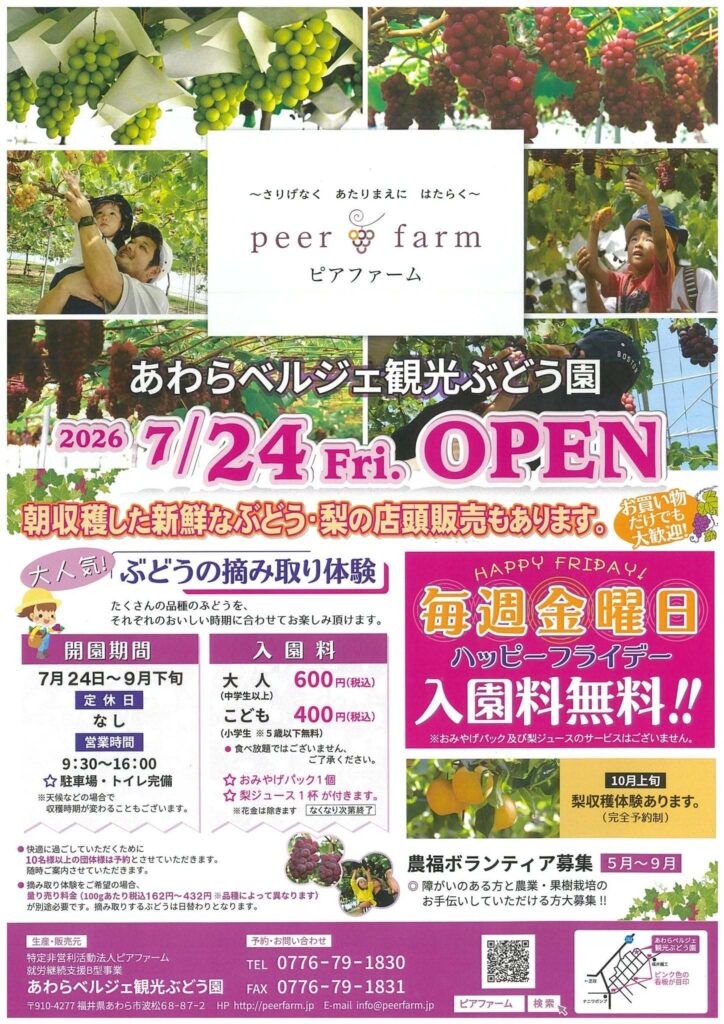 福井県あわら市のピアファームが「あわらベルジェ観光ぶどう園」開園！7月24日〜