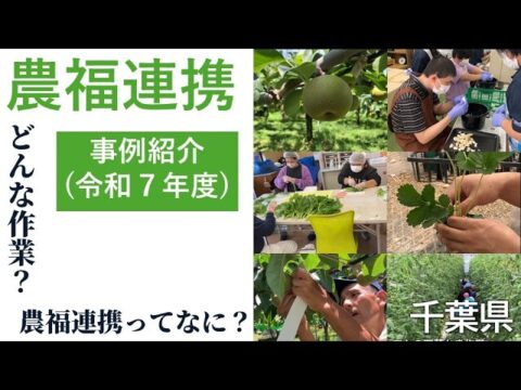 【動画】千葉県が農福連携の事例を紹介!