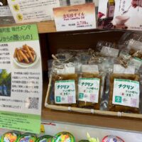 『季刊地域』2025夏号で、鹿児島県大崎町の竹福商連携による竹の資源化モデルが紹介！