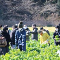 千葉県いすみ市のピア宮敷で「農福連携スタディツアー」開催！「ナバナガール」と収穫体験し、企業のDEIのヒントになるワークショップを実施（外房経済新聞）