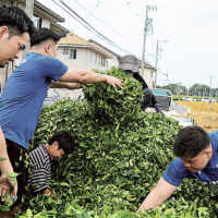 静岡県磐田市のラグビーチーム「静岡ブルーレヴズ」と市内の農家らが商品開発でスクラム！新たな農福連携の事例めざす（静岡新聞）