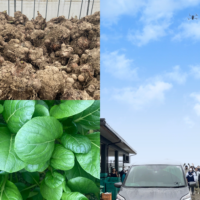 農業と障害者の睡眠の関係をまとめた論文が、国際ジャーナル「Social Sciences & Humanities Open」に掲載されました(笠間農園)