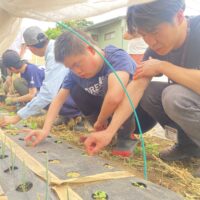 夢育て、フォイヤーシュタイン理論と方法が学べる「第5回夢育てWorkshop」開催! 3月23日〜