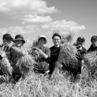 「シェフがストーリーを話せるお店を応援したい」ノウフク・ショップを担当した生鮮卸マチルダ 田川浩子さんへのインタビュー