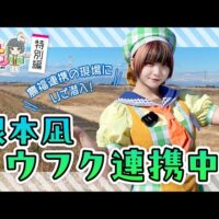 「藍染てぬぐいをつくろう！」埼玉福興を舞台にしたYouTube番組「根本凪 ノウフク連携中」第4回が公開中！