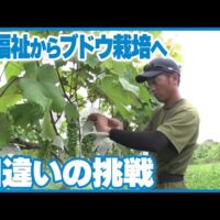 石川県羽咋市で「ITAYA Farm ワインぶどう苗木を植えよう！2025」開催！4月5日、6日