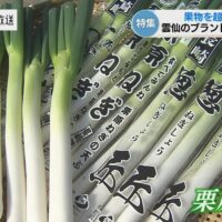 11月23日は「栗原揚げの日」に！ 株式会社栗原ねぎ 栗原光博さんへのインタビュー【後編】