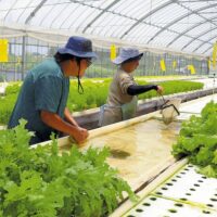 岐阜県海津市のアグリピア農場が取り組むSDGsを紹介（読売新聞オンライン）